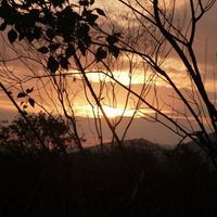 David Ramírez's Photo