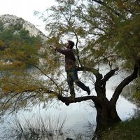 Decugis Steevens's Photo