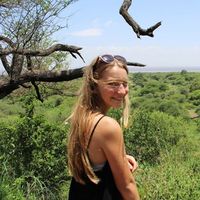 Paulina Lerner的照片