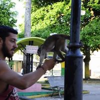 Ezequiel Gomez的照片