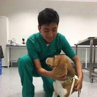 Фотографии пользователя Inty De La Cruz