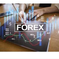 Фотографии пользователя Sarah El-Whaidy