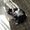 Miguel Bogota's Photo