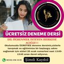 Photo de l'événement ENGLİSH A1 LEVEL FREE LESSON 