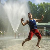 Le foto di Timothy Chong