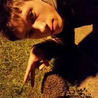 Karlo Vukelic的照片