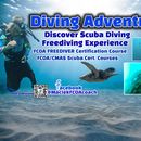 Zdjęcie z wydarzenia Freediving and Scuba Lessons /Certificate