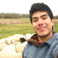 Jose Navarro's Photo