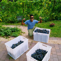 Chamindu Mendis的照片