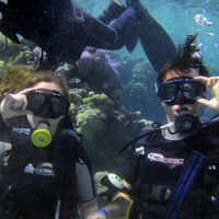 Konstantin Teslenko的照片