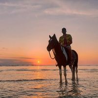 Le foto di Samuele Gallo