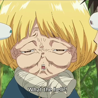 Phil Mollins的照片