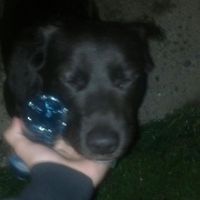 Ivan Krywinski的照片