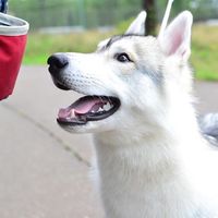 Maxim Baturov's Photo