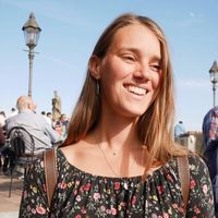 Tami Ziegler的照片