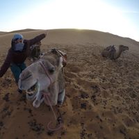 Anahi Gonzalez的照片