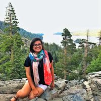 Vaidehi Misra's Photo