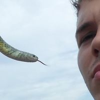 Luiz Fernando Freitas's Photo