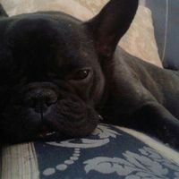 Марко Бендераћ's Photo