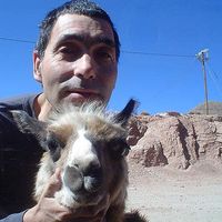 Gustavo Bruckl的照片