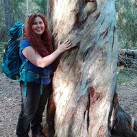 Tarja Virtanen's Photo