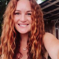 Jules Holland的照片