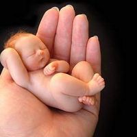 virginie Tronchère's Photo