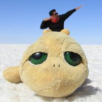 Fotos de Daniel Chan