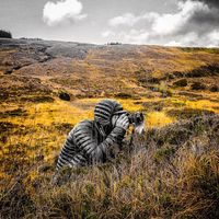 Nick Maidment的照片