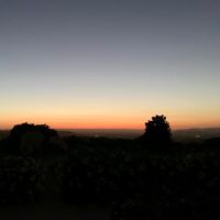 Hermione Antigone's Photo