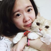 Photos de Alicia Chang