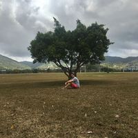 Bram Portner's Photo