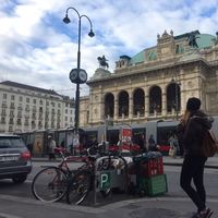 Zdjęcia użytkownika Shebnem Zoxrabova