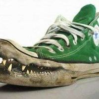 Caroline Baillez's Photo