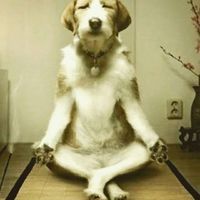 Ahmed Hawash的照片