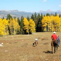 Nicholas Hobbs的照片