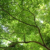 Casper Bodewitz's Photo