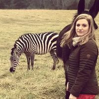 Sarah Nieburg的照片