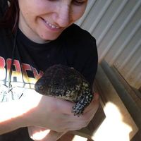 Kathy Ballard's Photo