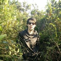 Marco Florentino的照片