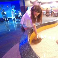 Aleksandra Skwarczyńska的照片