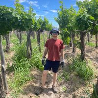 Marcelo Tiago Montagne's Photo