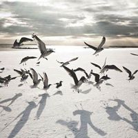 Niky Signyx的照片