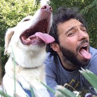 Federico Callegaro's Photo