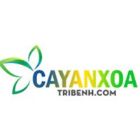 Cây An Xoa Trị Bệnh的照片