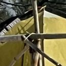 Explore Goa With Bike的照片