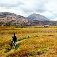 Francisco Vásquez的照片