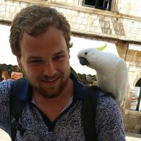 Artur Sztuc的照片