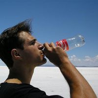 Mike Shaulov的照片