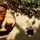 Winter Evening Couchsurfing Meetup –Chattogram's picture